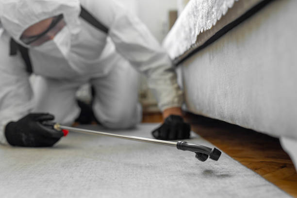 Professional Bed Bug Control technician working in Crestwood, MO